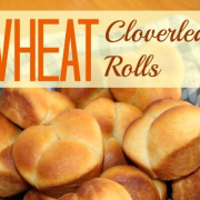 Wheat Cloverleaf Rolls