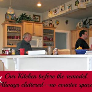 Kitchen Remodel Part #1